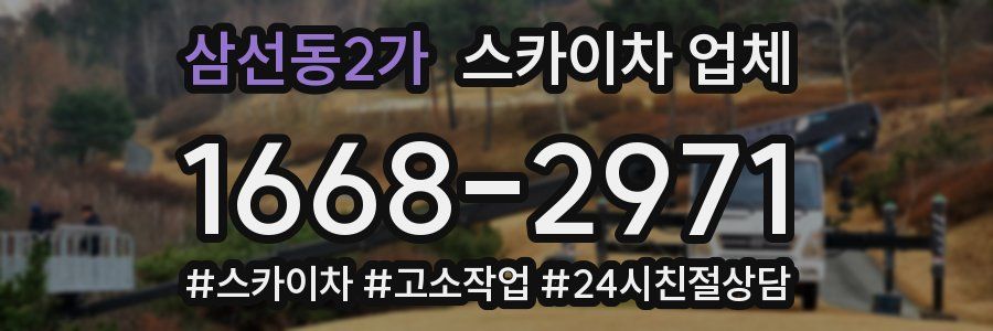 삼선동2가 스카이차 업체