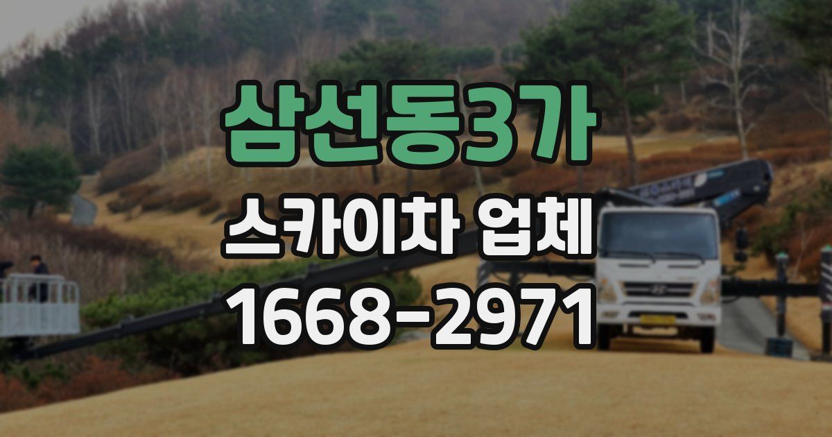 삼선동3가 스카이차 업체