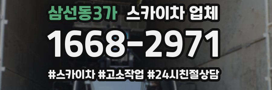 삼선동3가 스카이차 업체