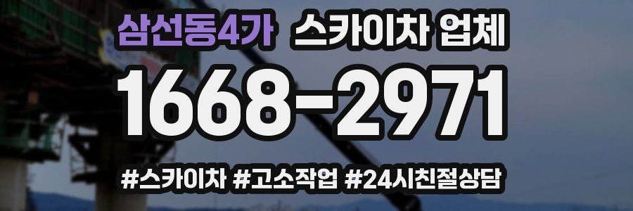 삼선동4가 스카이차 업체