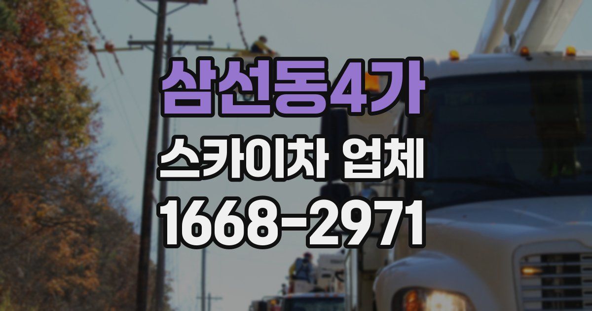 삼선동4가 스카이차 업체