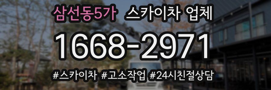 삼선동5가 스카이차 업체