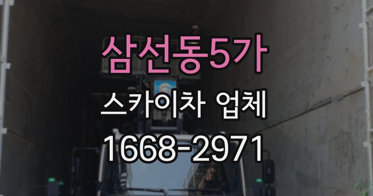 삼선동5가 스카이차 업체