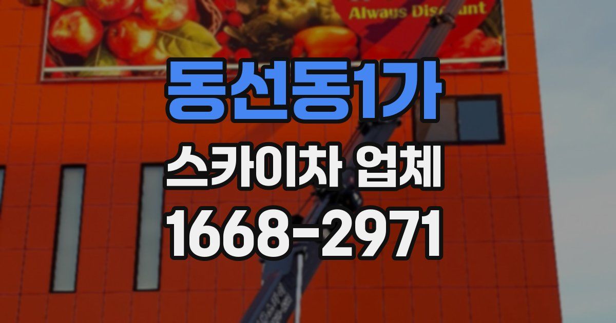 동선동1가 스카이차 업체