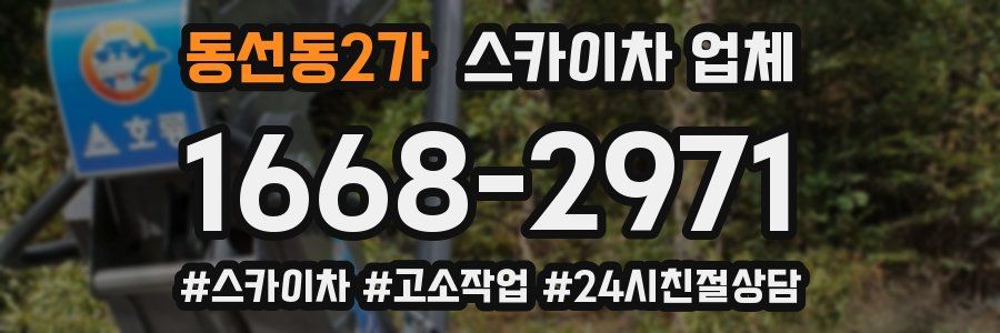 동선동2가 스카이차 업체