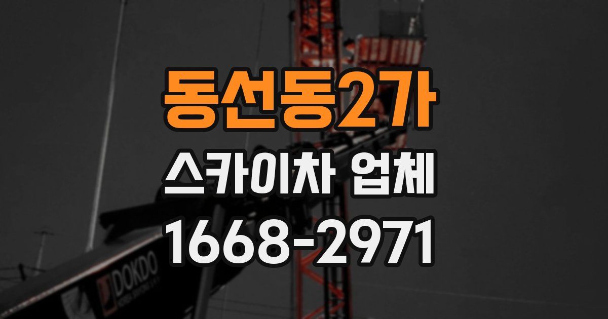 동선동2가 스카이차 업체