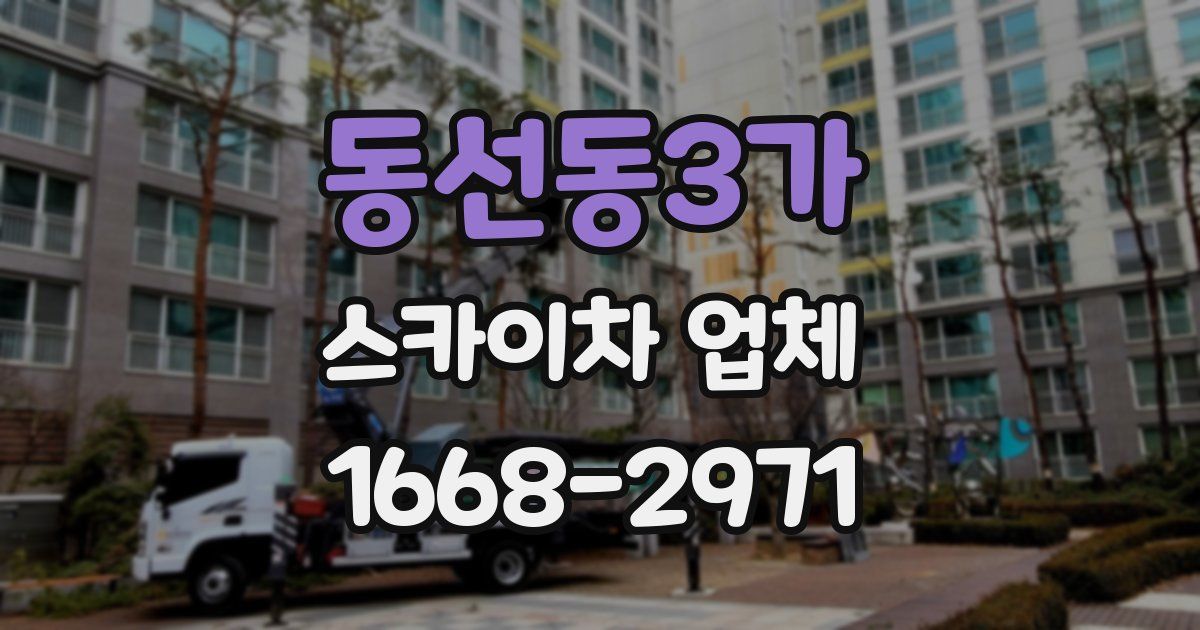 동선동3가 스카이차 업체