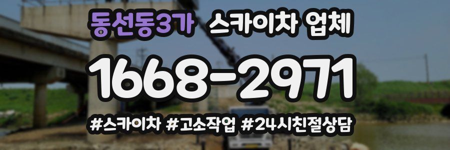 동선동3가 스카이차 업체