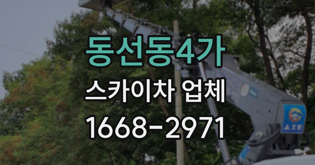 동선동4가 스카이차 업체