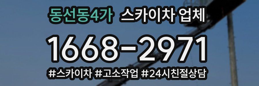 동선동4가 스카이차 업체