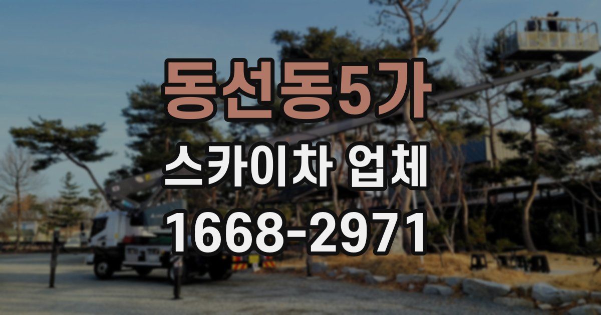 동선동5가 스카이차 업체