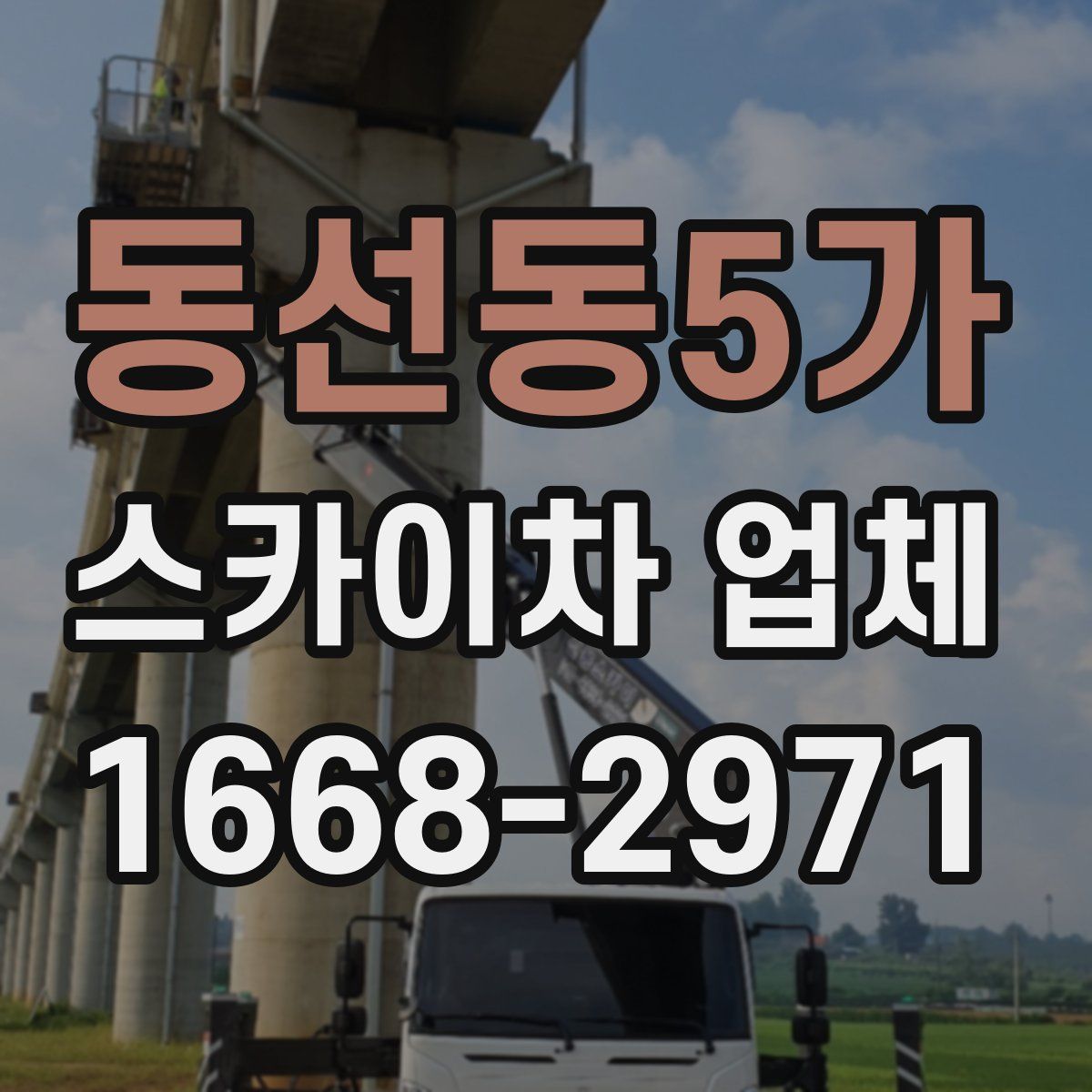 동선동5가 스카이차 업체