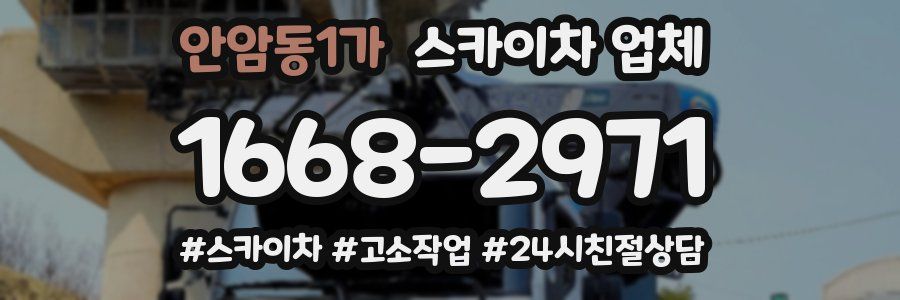 안암동1가 스카이차 업체