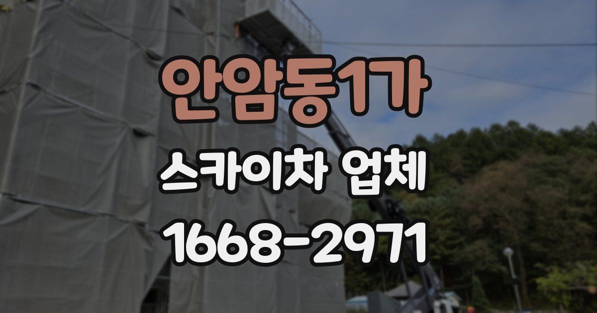 안암동1가 스카이차 업체