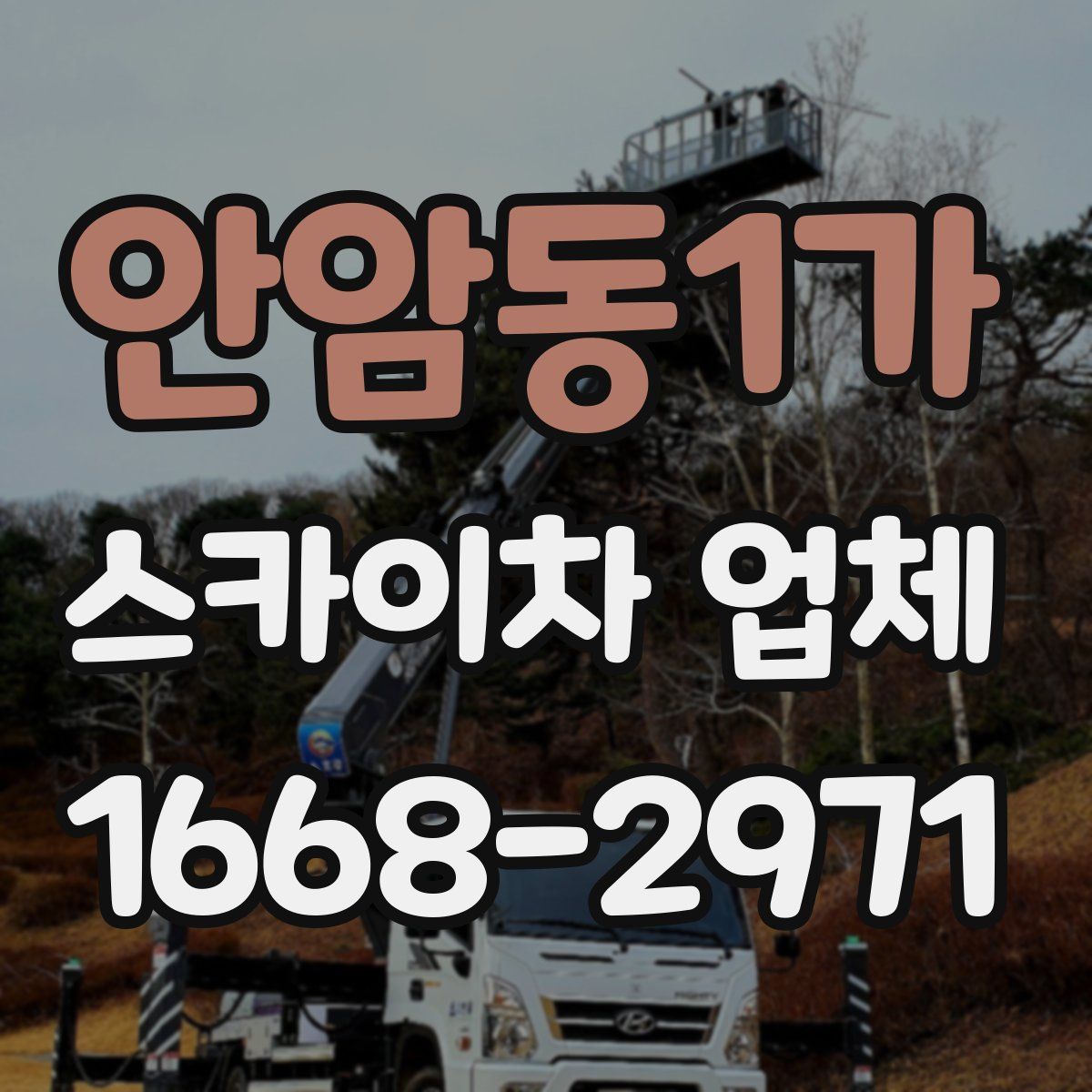 안암동1가 스카이차 업체