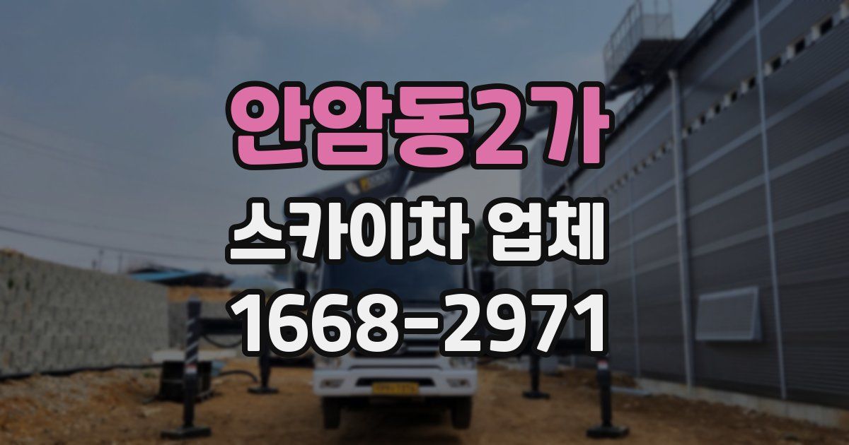 안암동2가 스카이차 업체