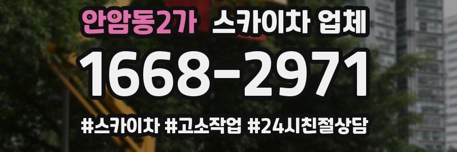안암동2가 스카이차 업체
