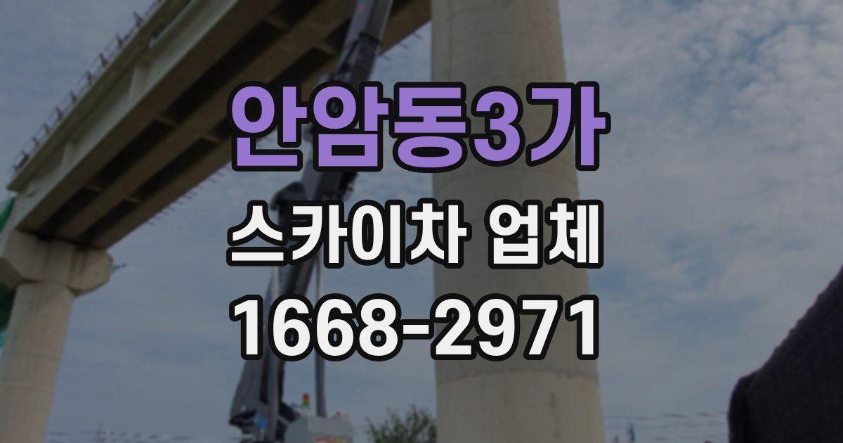 안암동3가 스카이차 업체