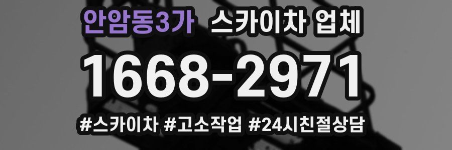 안암동3가 스카이차 업체
