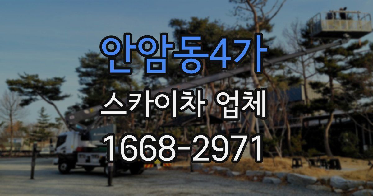 안암동4가 스카이차 업체