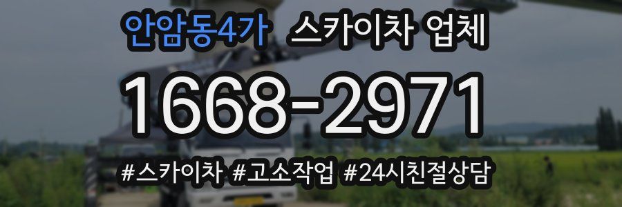 안암동4가 스카이차 업체