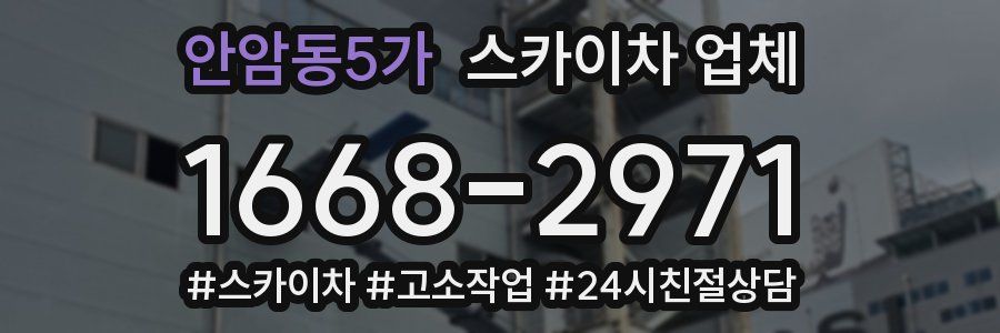 안암동5가 스카이차 업체