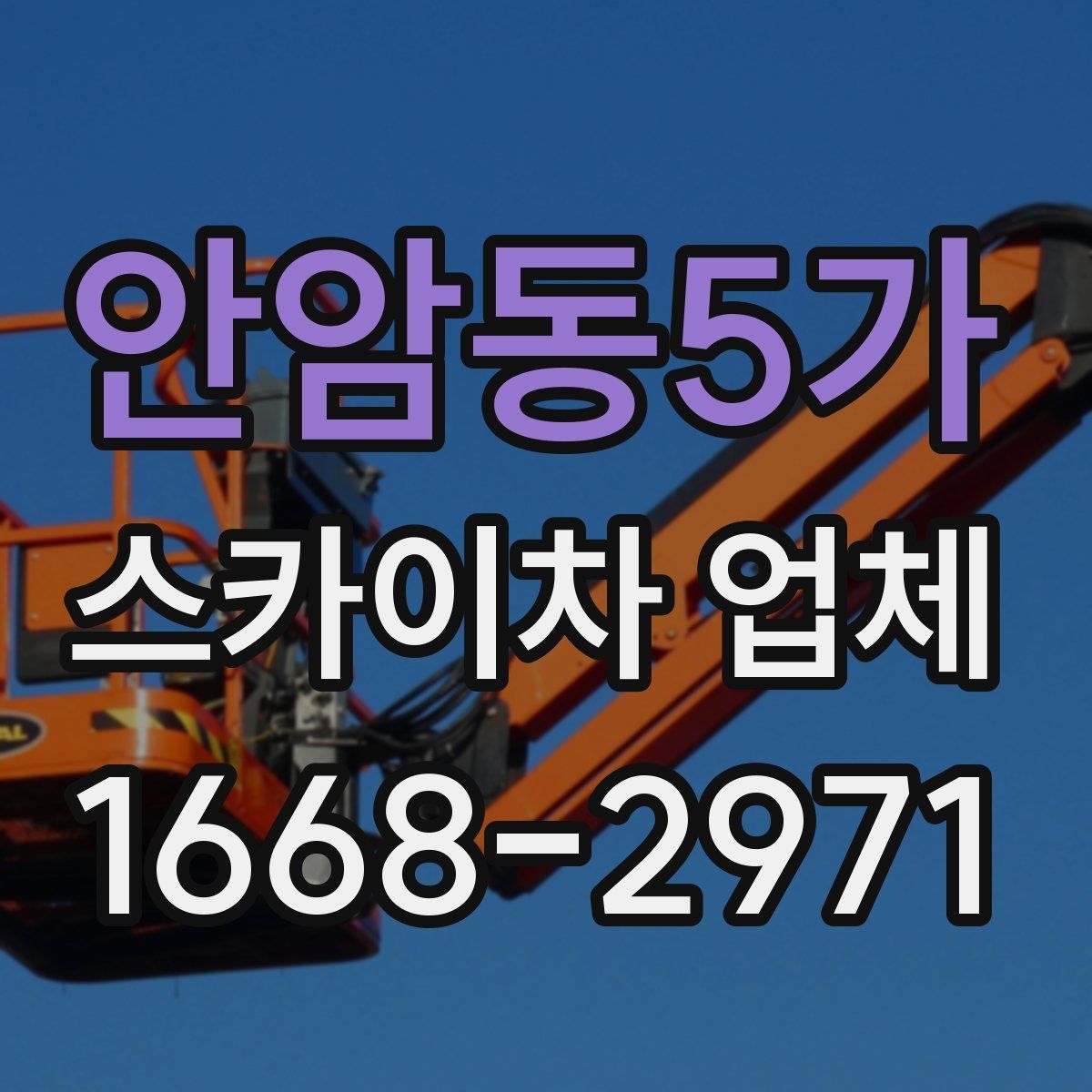 안암동5가 스카이차 업체