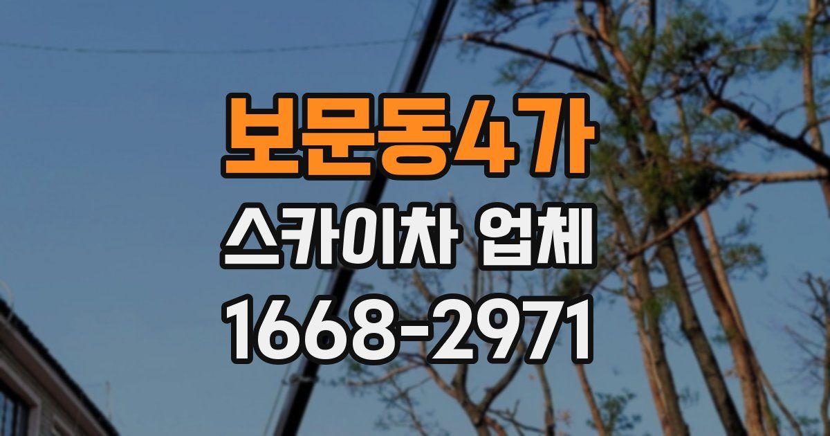 보문동4가 스카이차 업체