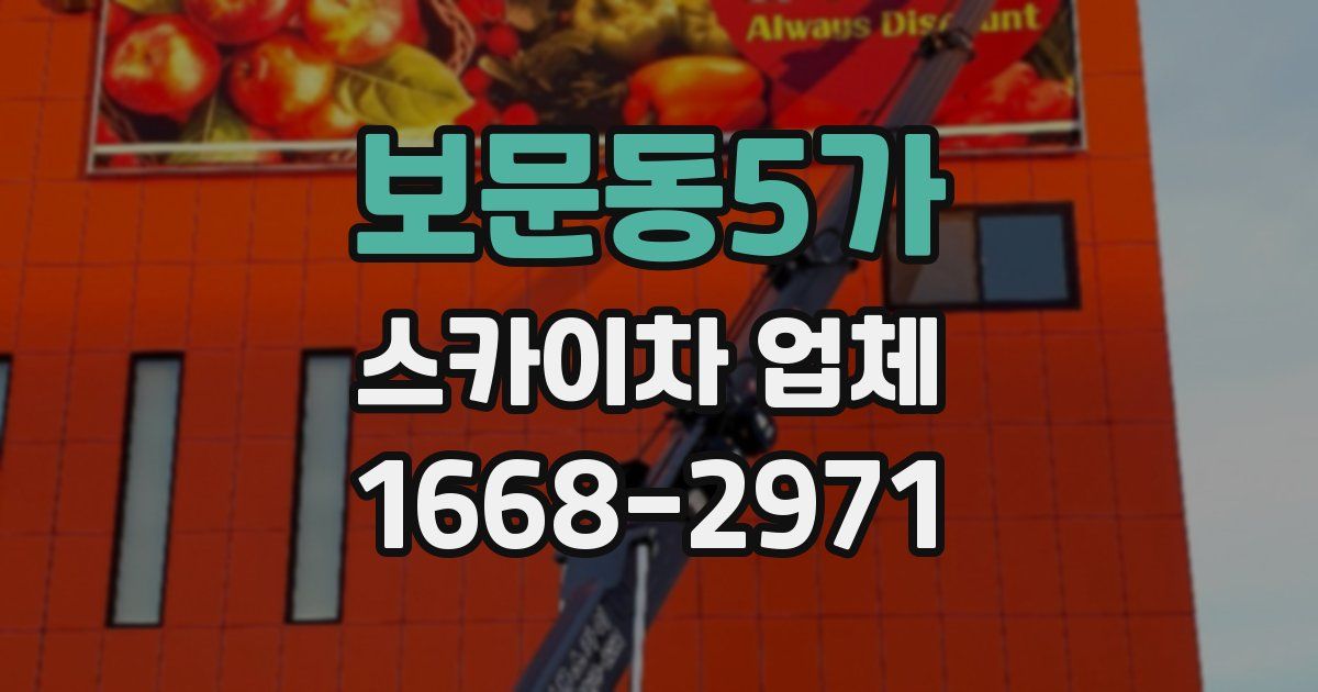 보문동5가 스카이차 업체