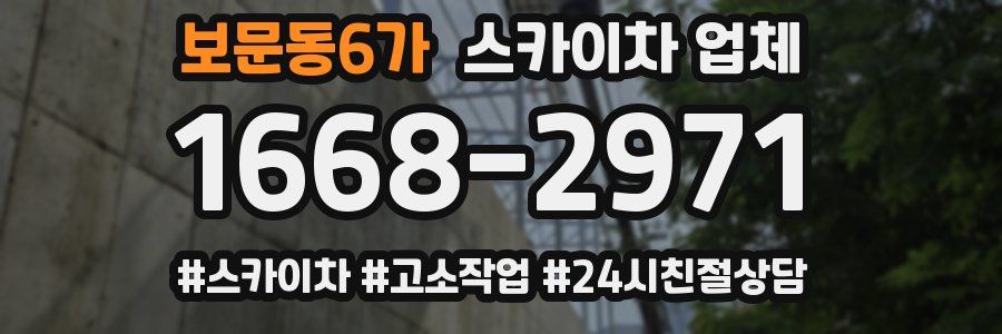 보문동6가 스카이차 업체