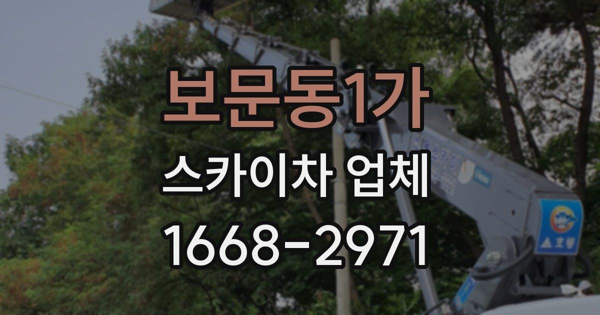 보문동1가 스카이차 업체