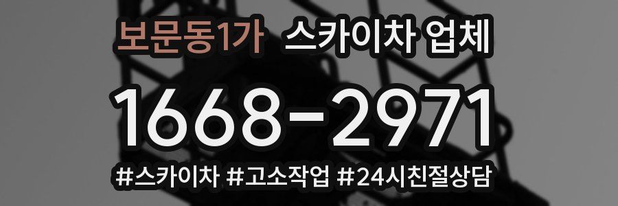 보문동1가 스카이차 업체