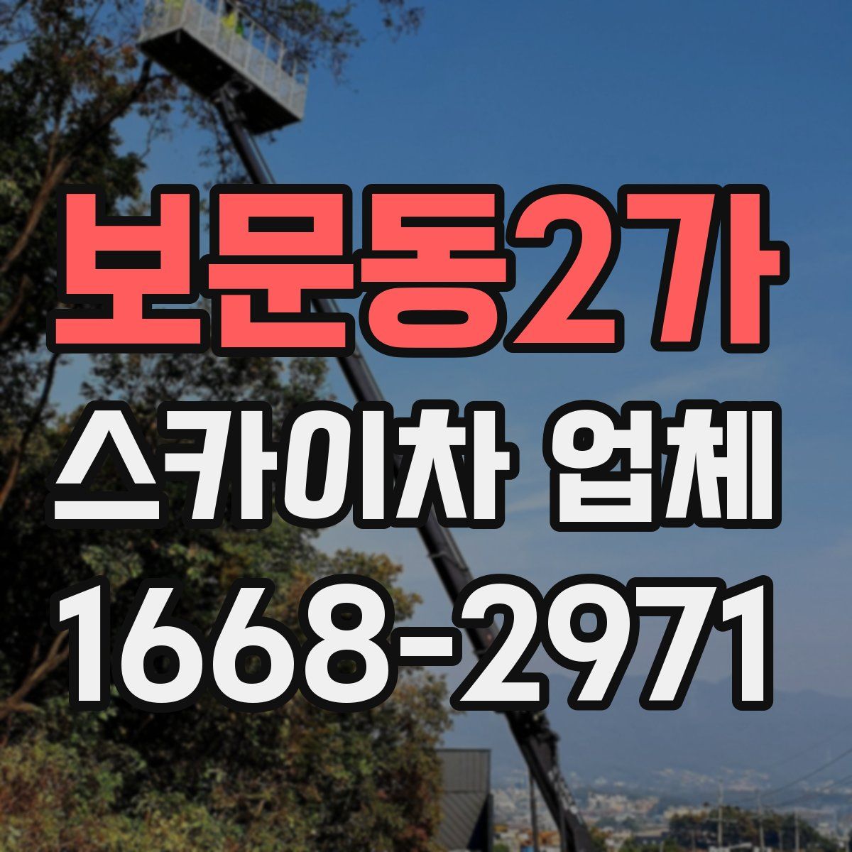 보문동2가 스카이차 업체