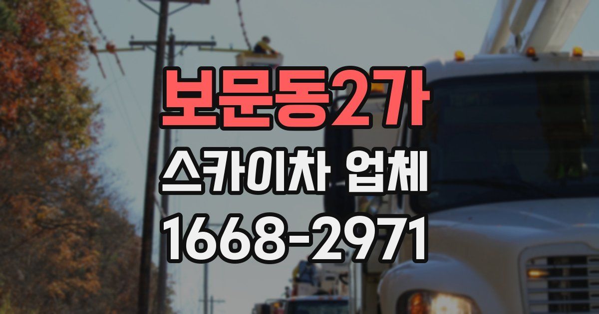 보문동2가 스카이차 업체