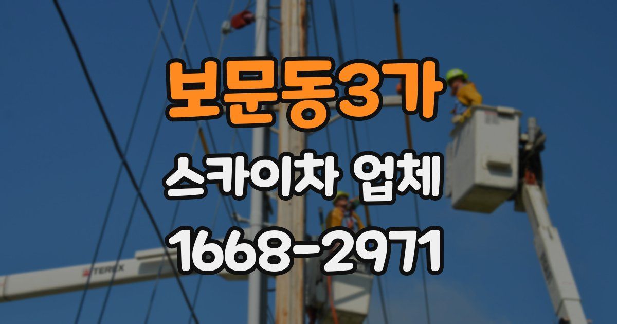 보문동3가 스카이차 업체