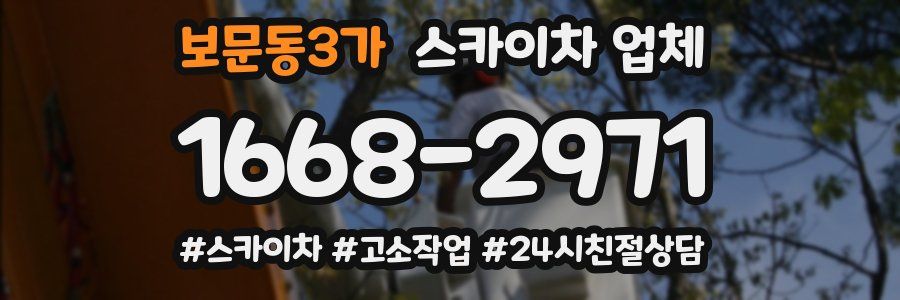 보문동3가 스카이차 업체
