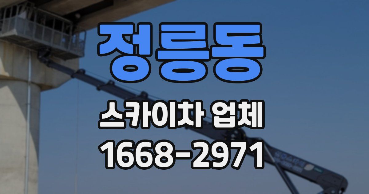 정릉동 스카이차 업체