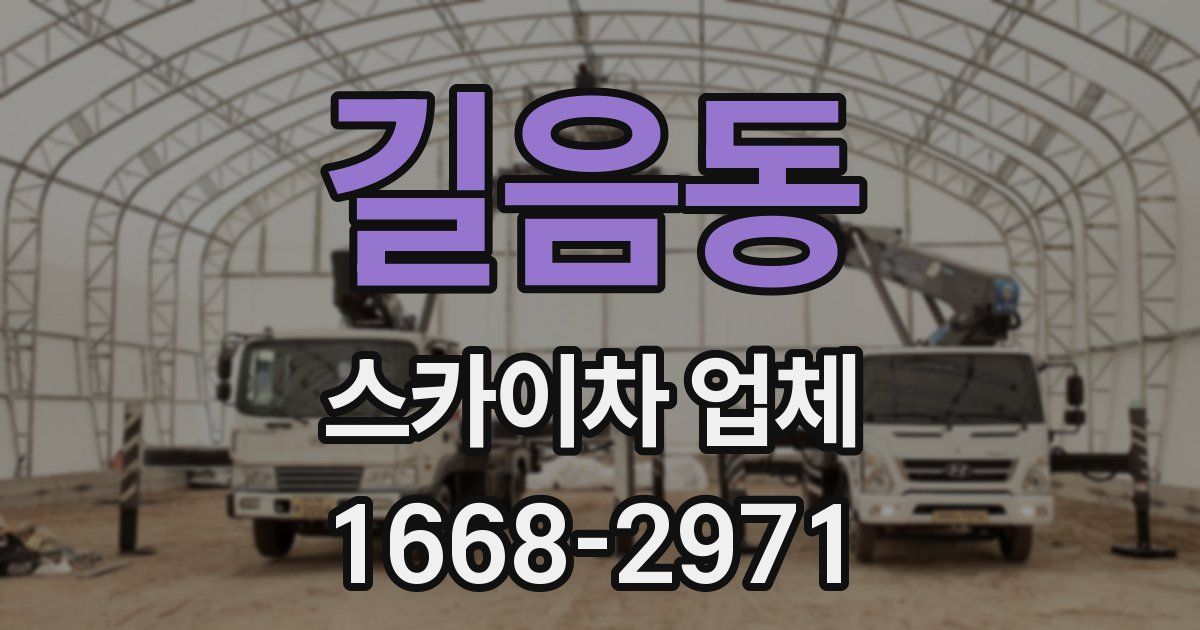 길음동 스카이차 업체
