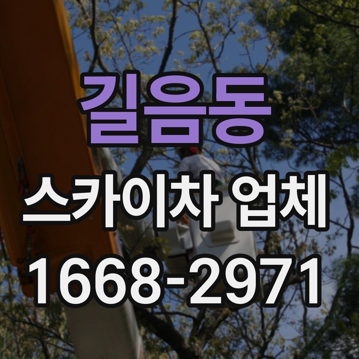 길음동 스카이차 업체