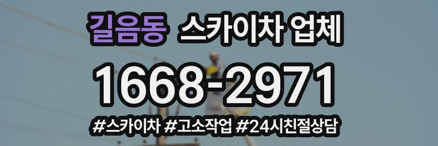 길음동 스카이차 업체