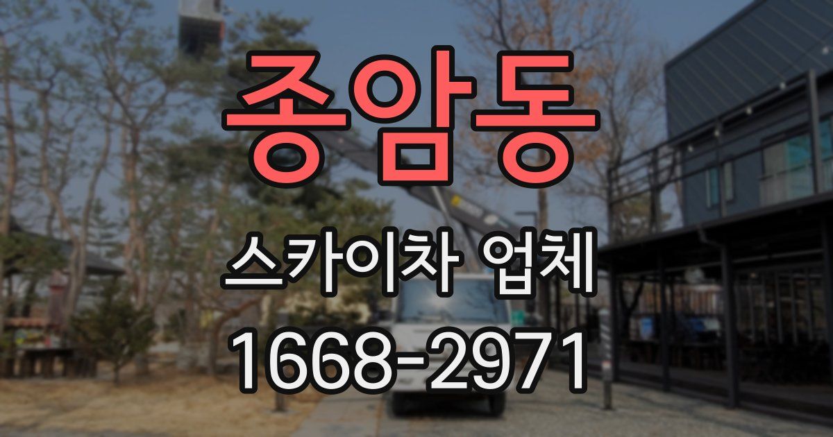 종암동 스카이차 업체
