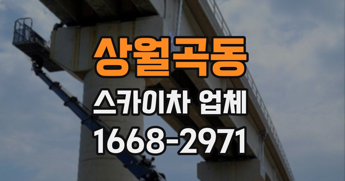 상월곡동 스카이차 업체