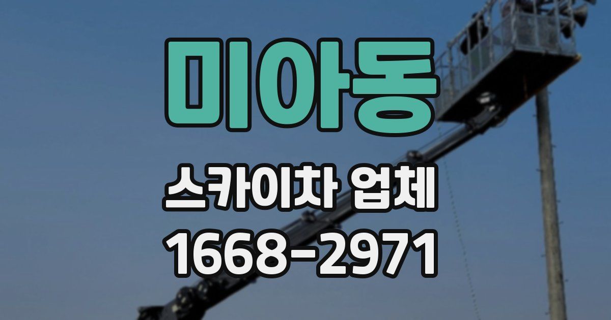 미아동 스카이차 업체