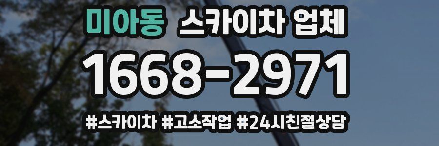 미아동 스카이차 업체