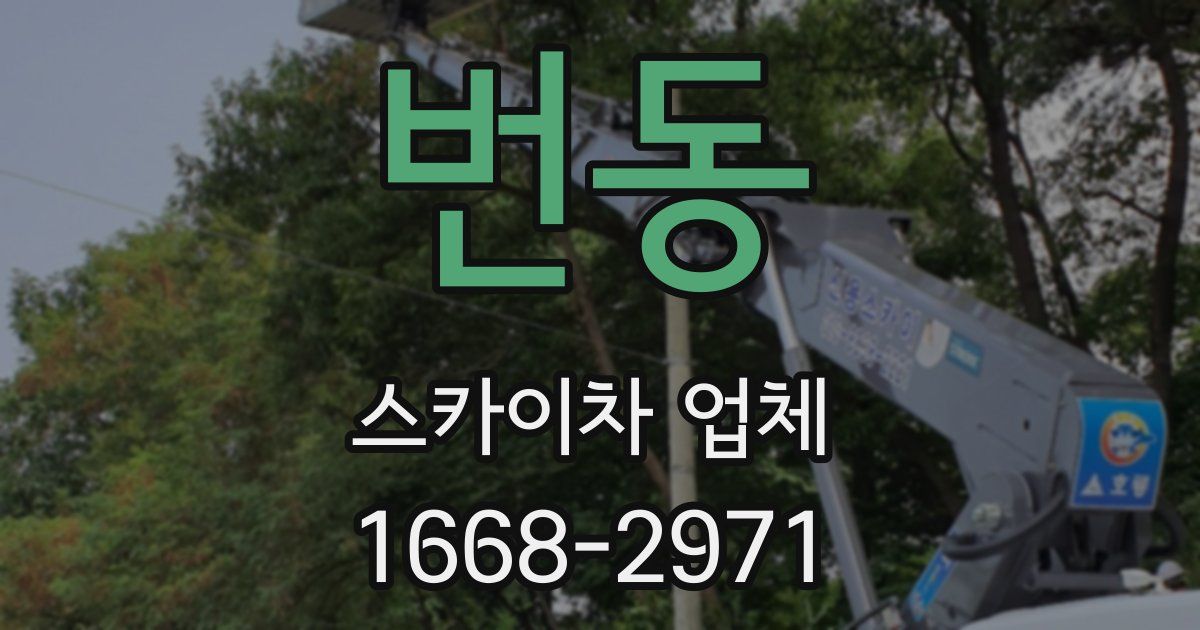 번동 스카이차 업체