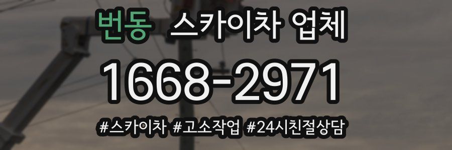 번동 스카이차 업체