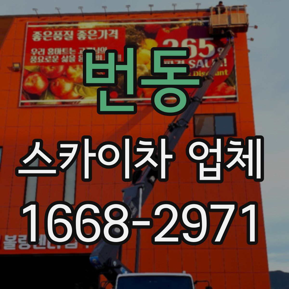 번동 스카이차 업체