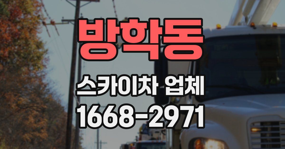 방학동 스카이차 업체