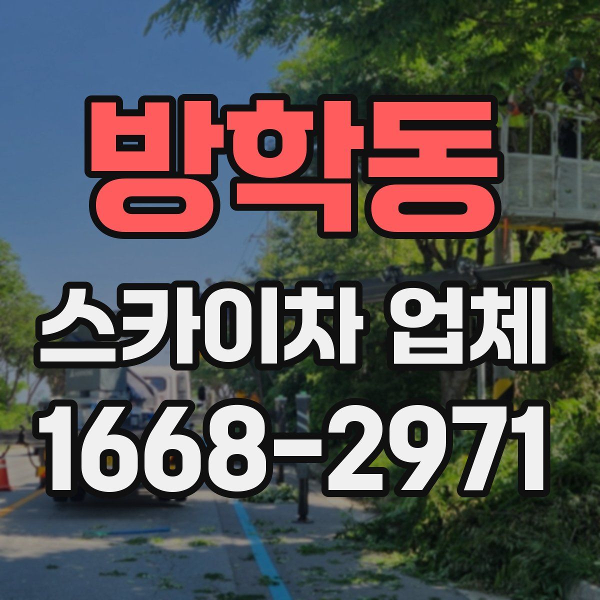 방학동 스카이차 업체