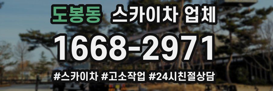 도봉동 스카이차 업체